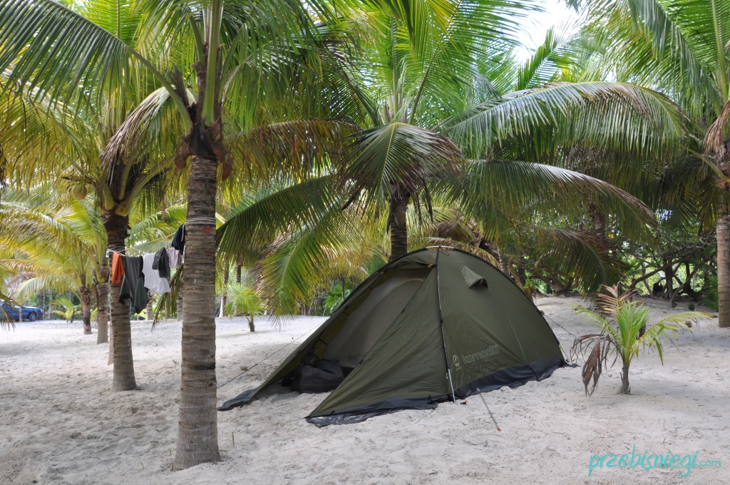 Obozowisko pod palmami w Playa las palmas, Tulum; Meksyk