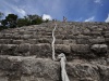 Piramida Nuhoch Mul (42 m) w mieście Majów w Coba; Meksyk