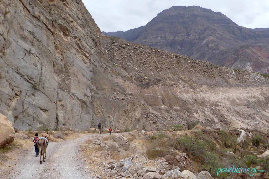 W drodze nad wodospad Sipia - kanion Cotahuasi; Peru