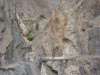 W drodze do Ushua - najgłębszej części kanionu Cotahuasi; Peru