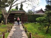 Ogród japoński w Hamilton Gardens - Hamilton; Nowa Zelandia