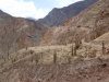 W drodze do Ushua - najgłębszej części kanionu Cotahuasi; Peru