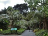 Auckland Botanic Gardens - Auckland; Nowa Zelandia