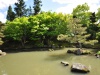 Ogród japoński w Hamilton Gardens - Hamilton; Nowa Zelandia