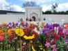 Hinduski ogród Char Bagh w Hamilton Gardens - Hamilton; Nowa Zelandia