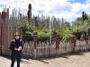 Maoryski ogród Te Parapara w Hamilton Gardens - Hamilton; Nowa Zelandia